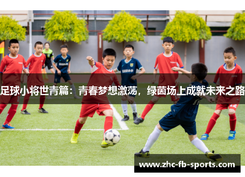 足球小将世青篇：青春梦想激荡，绿茵场上成就未来之路