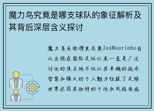 魔力鸟究竟是哪支球队的象征解析及其背后深层含义探讨